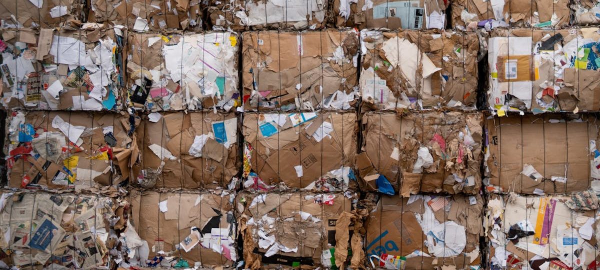 Claves para validar la sostenibilidad de empresas